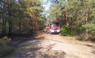 Pożary nieużytków w Krzyżu. Ogień zagraża lasom