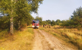 Pożary nieużytków w Krzyżu. Ogień zagraża lasom