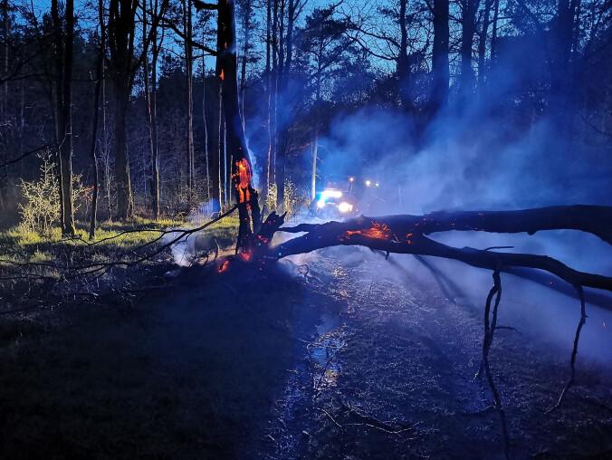 Płonie las pod Piłą. Prawdopodobnie to podpalenie [AKTUALIZACJA] - grafika