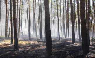 Pożar przy jeziorze Okoniowym w Pile. Wysłano samoloty gaśnicze [ZDJĘCIA]