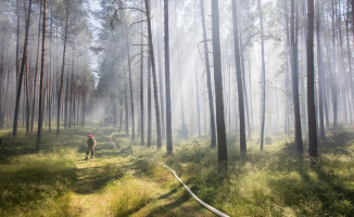 Pożar przy jeziorze Okoniowym w Pile. Wysłano samoloty gaśnicze [ZDJĘCIA]