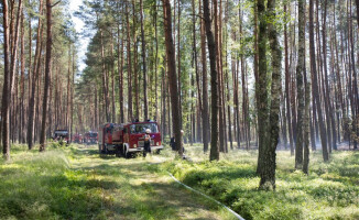 Pożar przy jeziorze Okoniowym w Pile. Wysłano samoloty gaśnicze [ZDJĘCIA]