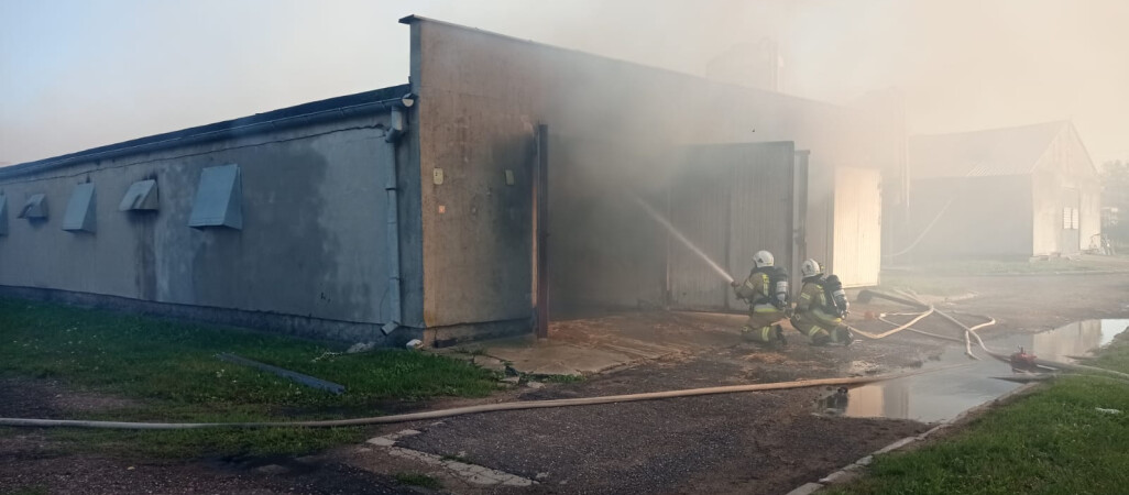 Groźny pożar fermy kurczaków