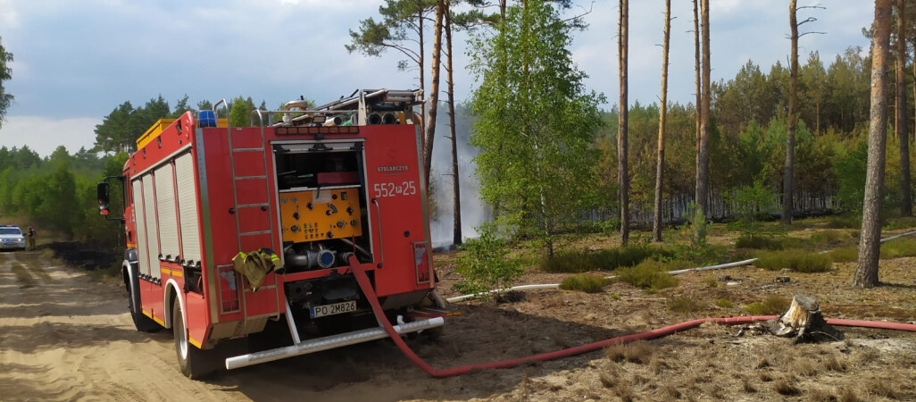 Pożar lasu w okolicach jeziora Jelonki pod Piłą 