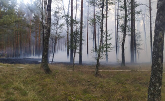 Pożar lasu w okolicach jeziora Jelonki pod Piłą 