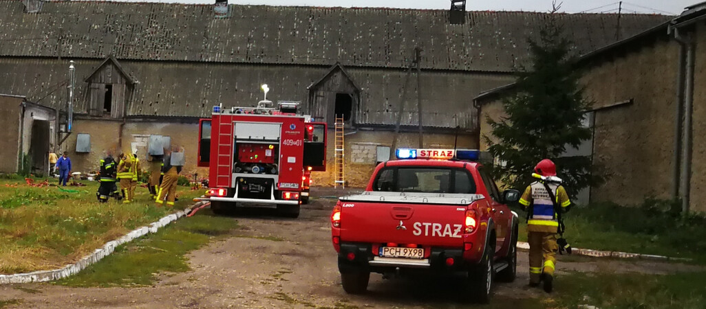 Pożar kurnika tragiczny dla ok. 100 zwierząt