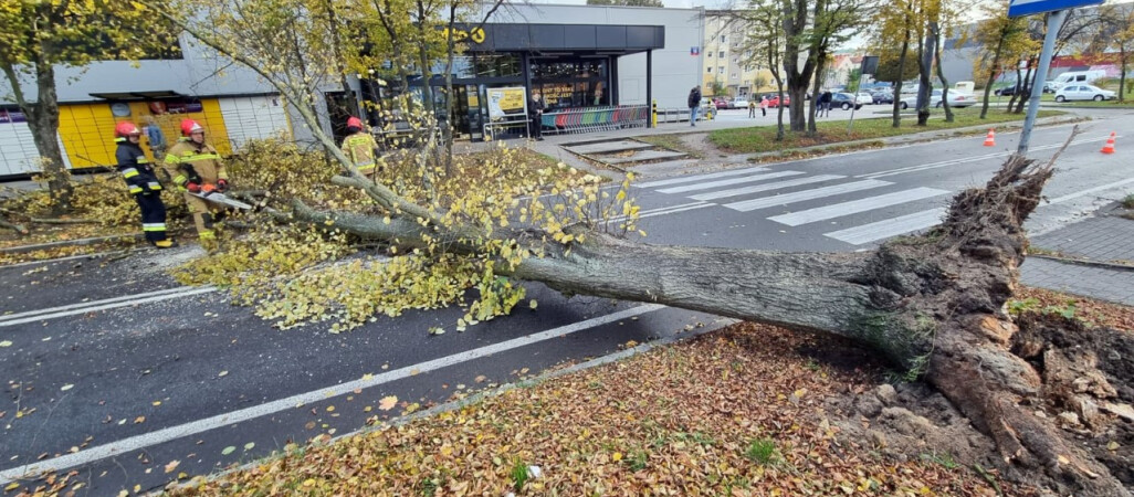 Wichura nad powiatem pilskim. Strażacy wyjeżdżali do akcji 99 razy