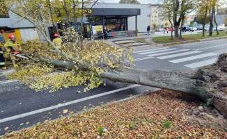 Wichura nad powiatem pilskim. Strażacy wyjeżdżali do akcji 99 razy