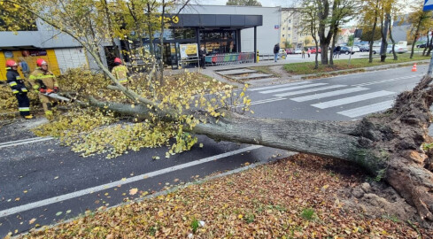 Wichura nad powiatem pilskim. Strażacy wyjeżdżali do akcji 99 razy - grafika