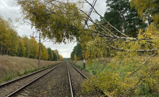 Wichura nad powiatem pilskim. Strażacy wyjeżdżali do akcji 99 razy