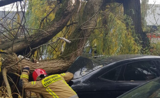 Wichura nad powiatem pilskim. Strażacy wyjeżdżali do akcji 99 razy