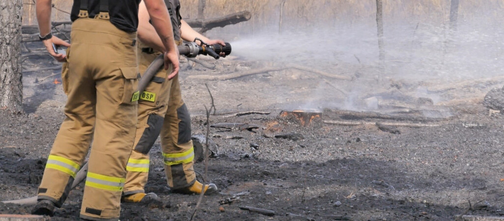 Katastrofa w lasach. Tak sucho nie było od dawna