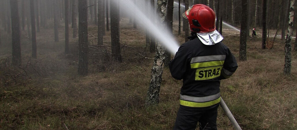 Lejący się z nieba żar i brak opadów powodują zagrożenie pożarowe w lasach 