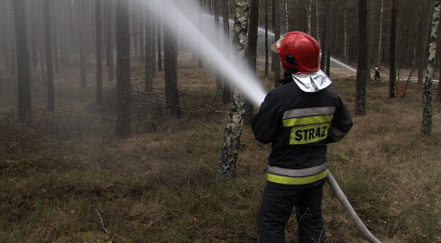 Lejący się z nieba żar i brak opadów powodują zagrożenie pożaro - grafika