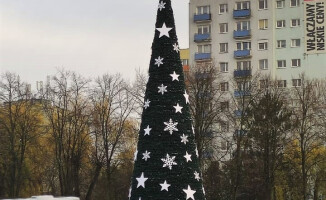 Pierwszy śnieg i biała choinka na rondzie 