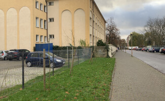 Połamane drzewa w centrum Piły 