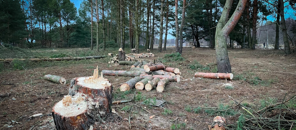 Zielona Dolina zielona tylko z nazwy? Trwa wycinka nad rzeką - ZDJĘCIA 