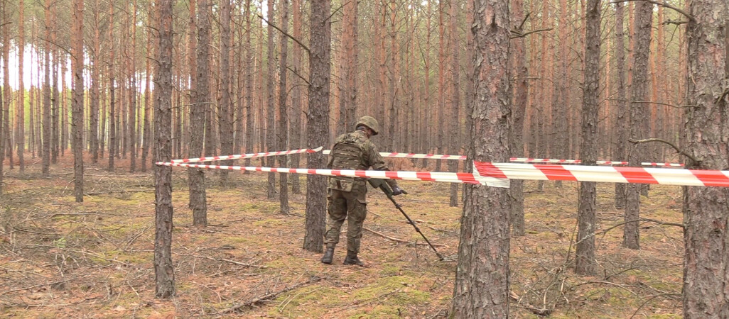 Pocisk artyleryjski w lesie pod Krzyżem Wielkopolskim