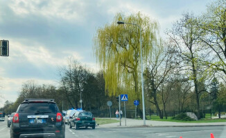 74-letni kierowca potrącił 14-latkę na przejściu 