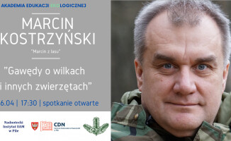 Ryś i wilk na drodze człowieka? To nic nadzwyczajnego 