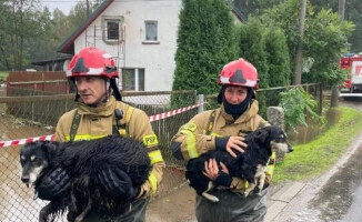 Zerwij łańcuchy. Zwierzęta szczególnie teraz nas potrzebują 