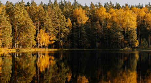 Zmiany pogodowe na przełomie października i listopada. Co nas czeka? - grafika